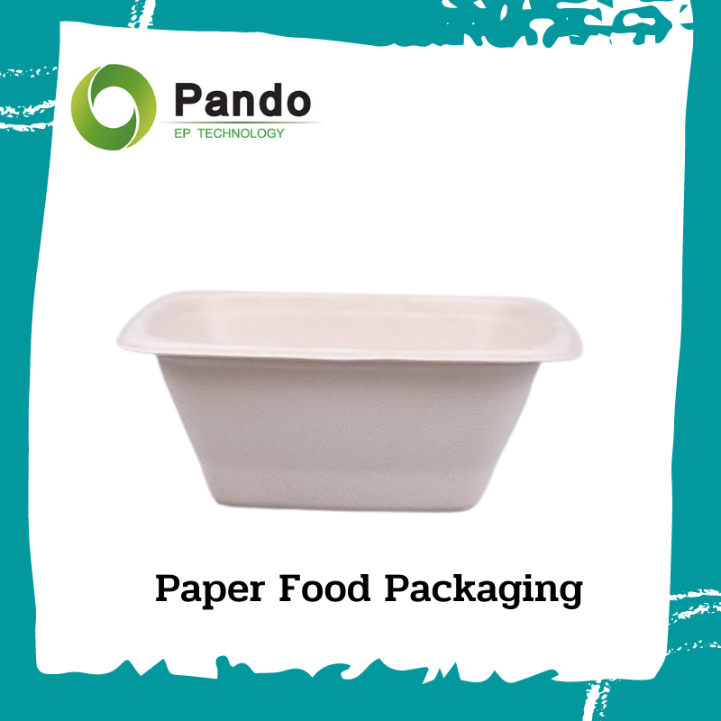Paper-Food-Packaging